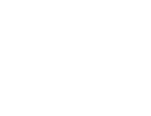 Logo SRV blanc